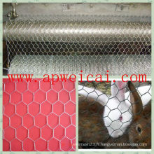 Fil de volaille 1/2 Hex Mesh Chicken Wire Home Depot